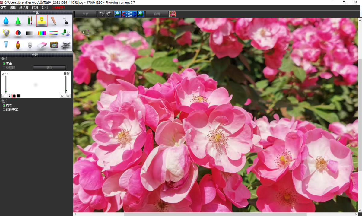 Photoinstrument