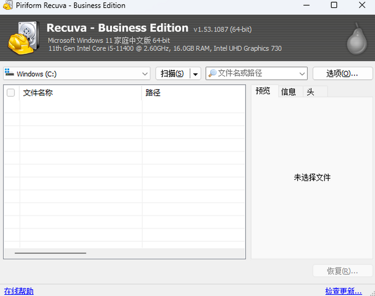 Recuva Business Edition