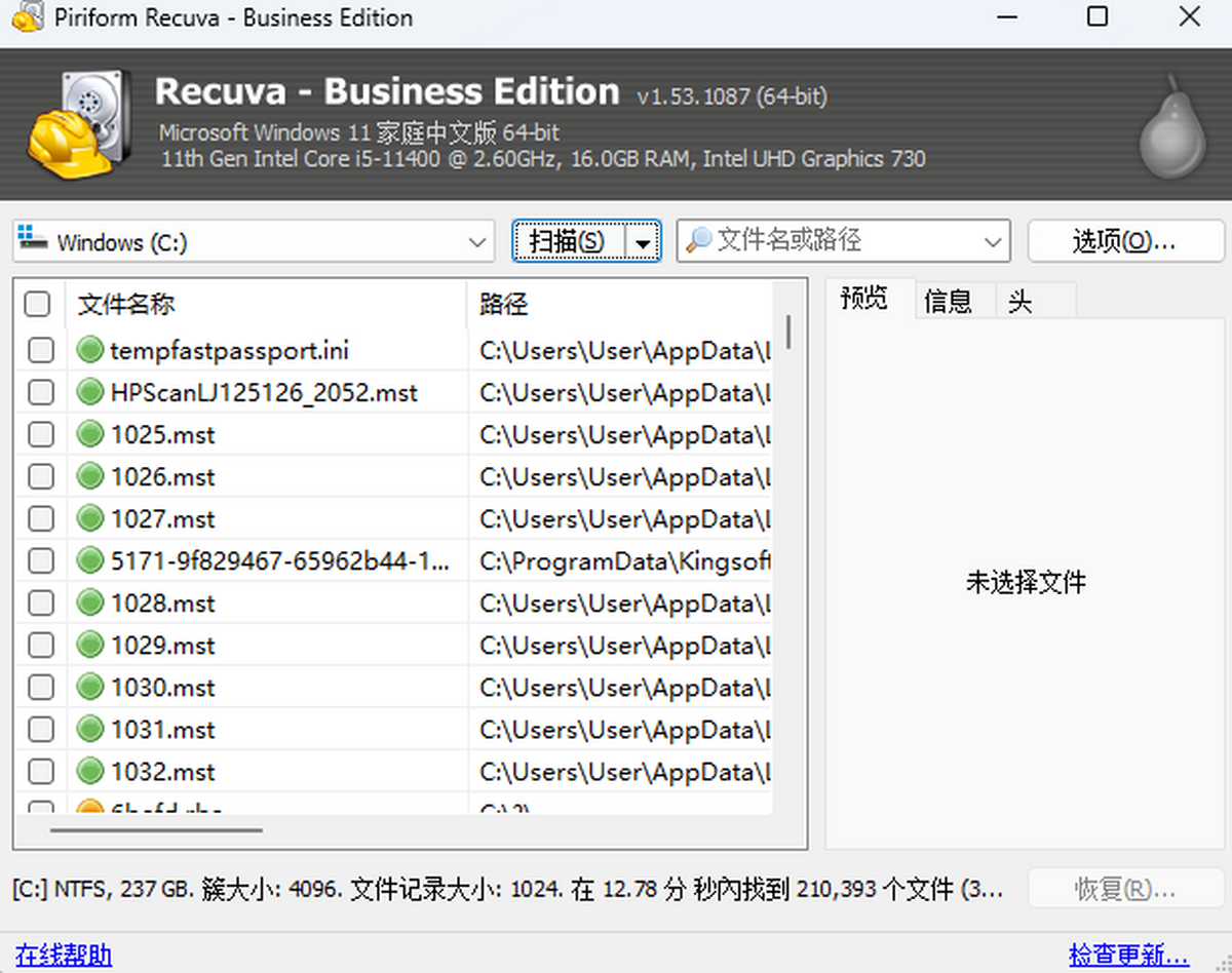 Recuva Business Edition