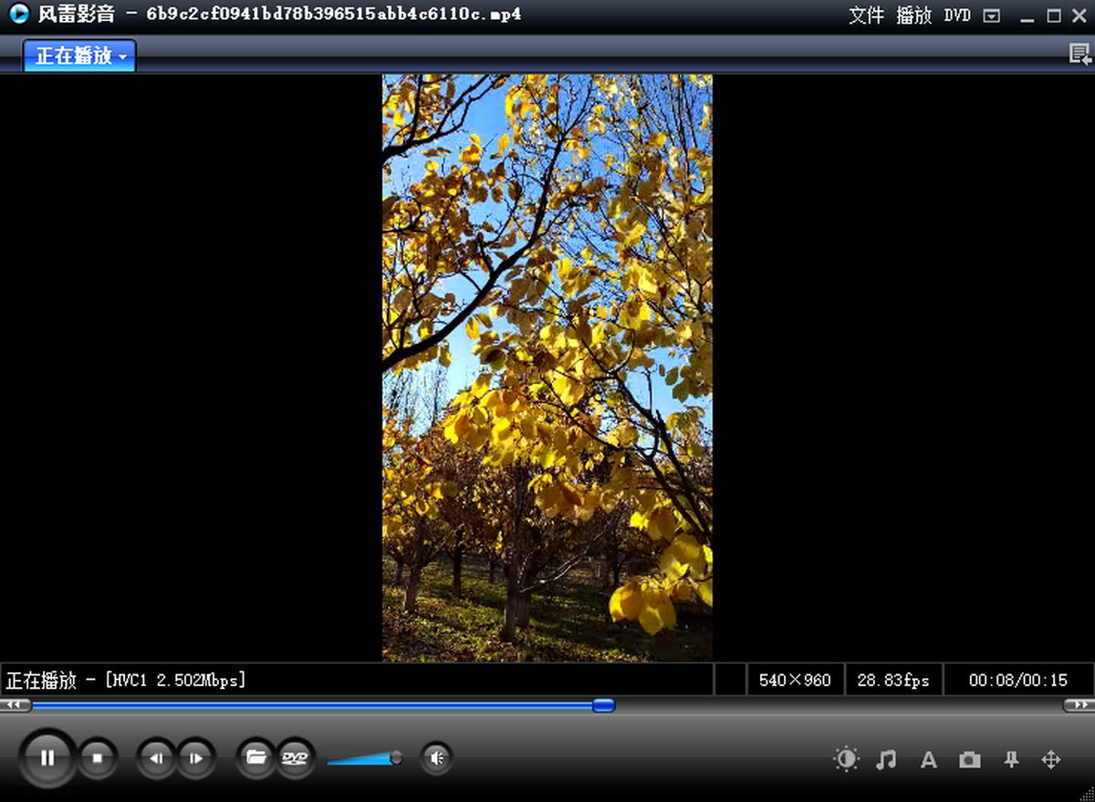 �L(f��ng)��Ӱ��