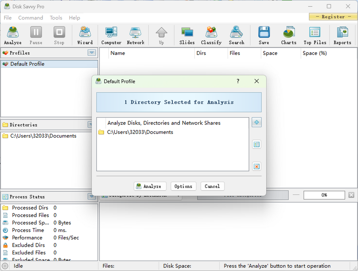 Disk Savvy Pro x32
