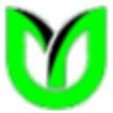 ճN