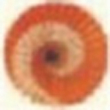 ѷbܛ