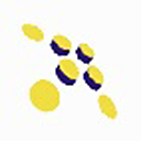 (xing)Ŀ(LUCKY-PM)