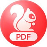 PDF