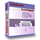 DataNumen Excel Repair
