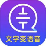 D(zhun)Z