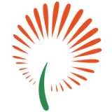 ɽ������ʵ���ж�