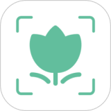 ����ɨ����