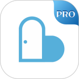 ǣ��Pro