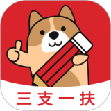 ��֧һ�����⹷