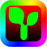 �����Plus