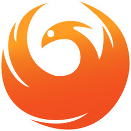 P˼