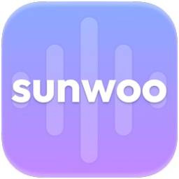 sunwoo��Ƶ��ʽת����