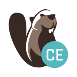 DBeaver