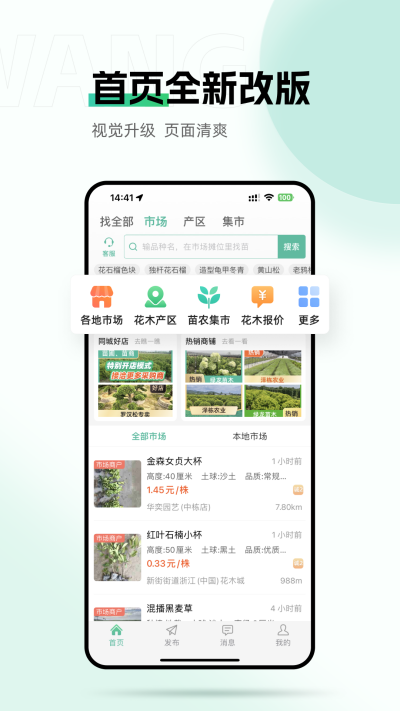 ���ϻ�ľ��