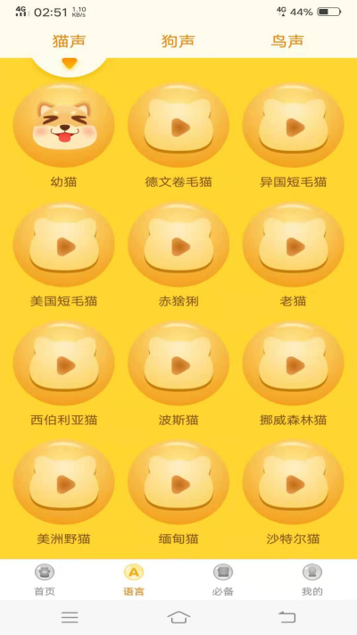 ���﷭����