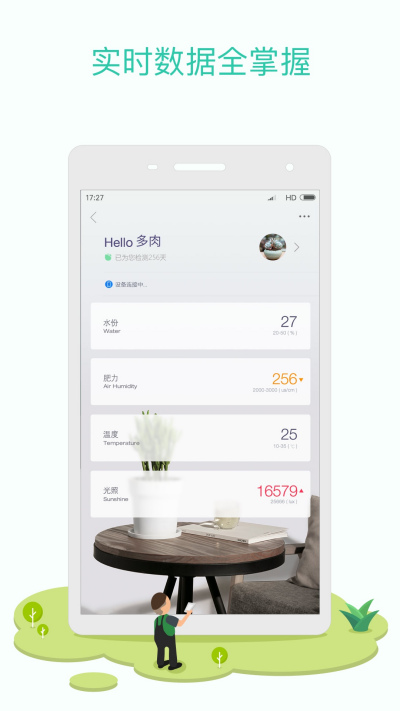 �����ݲ�