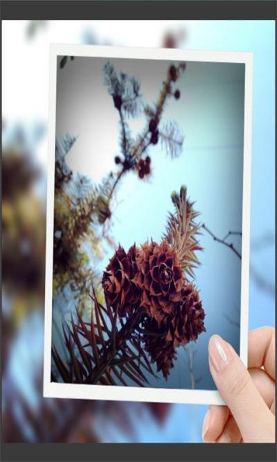 Ȥ����ͼ�����