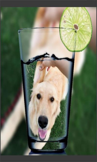 Ȥ����ͼ�����