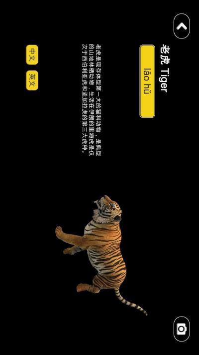 ־��AR������