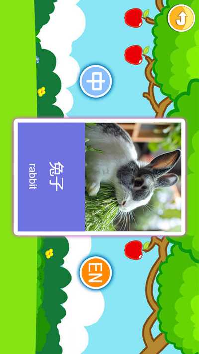 �������������Ƭ