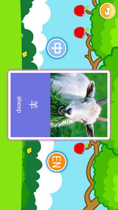 �������������Ƭ