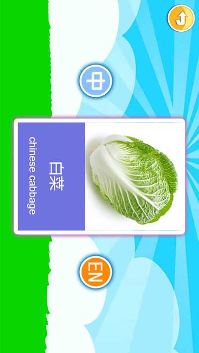 �������������Ƭ