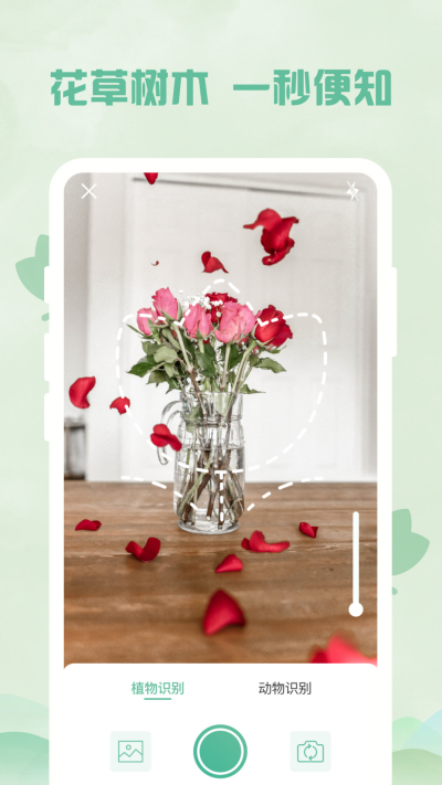 ����ɨ����