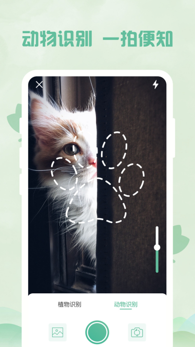 ����ɨ����