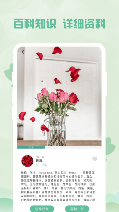 ����ɨ����