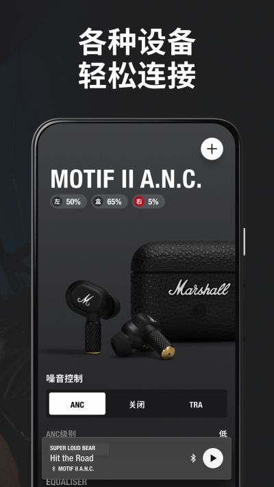 Marshall Bluetooth