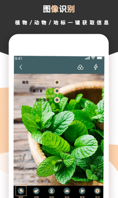 ��׼ɨ����