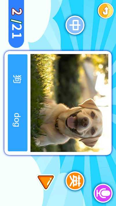 ����Ӣ������