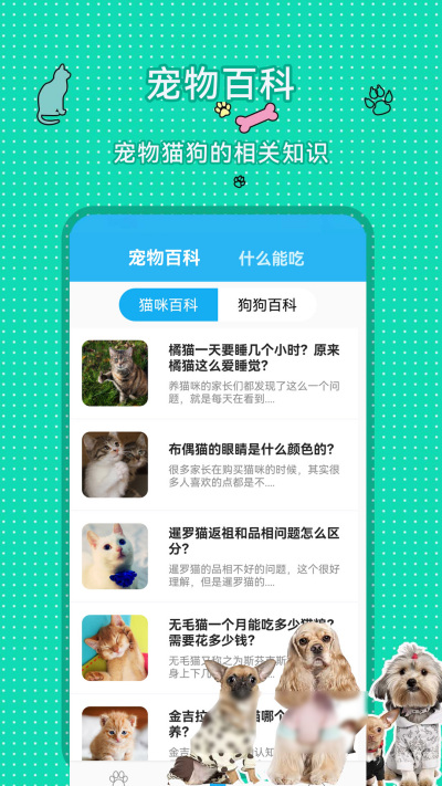 ��è�˹����뽻����