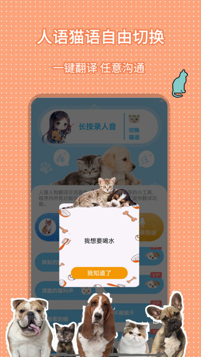��è�˹����뽻����
