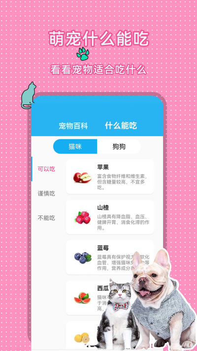 ��è�˹����뽻����