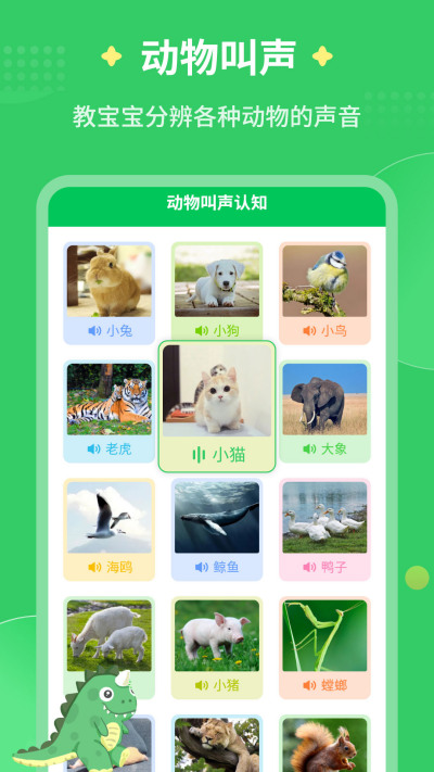 ÿ�콲����