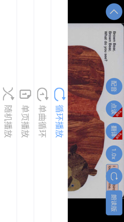 ����Ӣ��汾