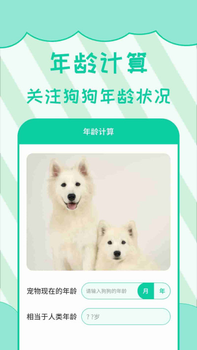 �˹�����