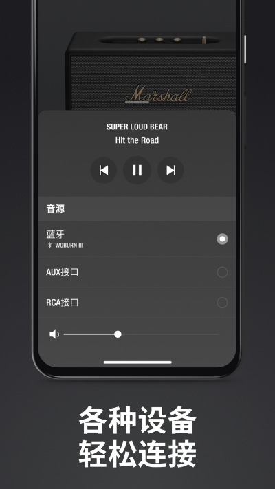 Marshall Bluetooth