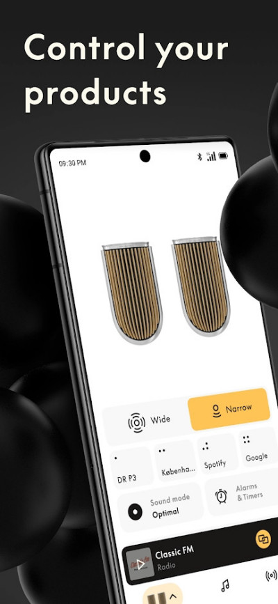 Bang & Olufsen
