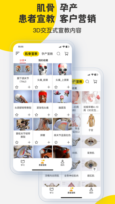 3Dbody����