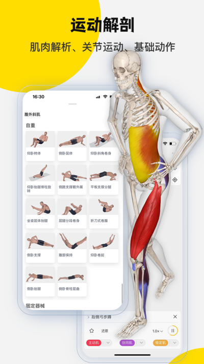 3Dbody����