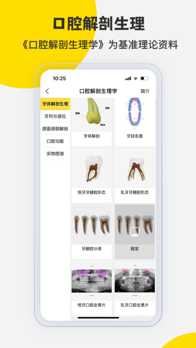 3Dbody����