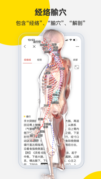 3Dbody����