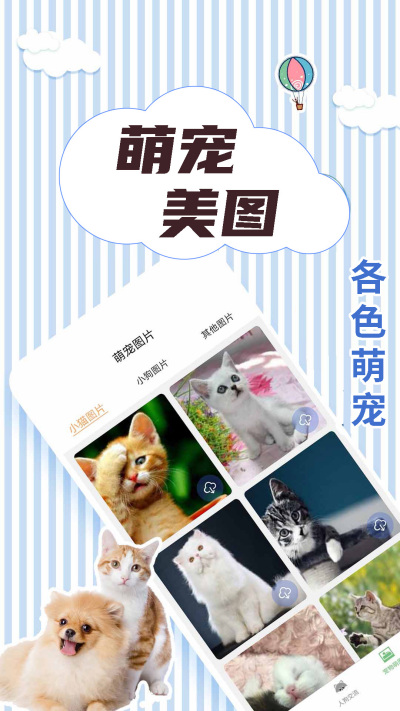 ��è���뽻����