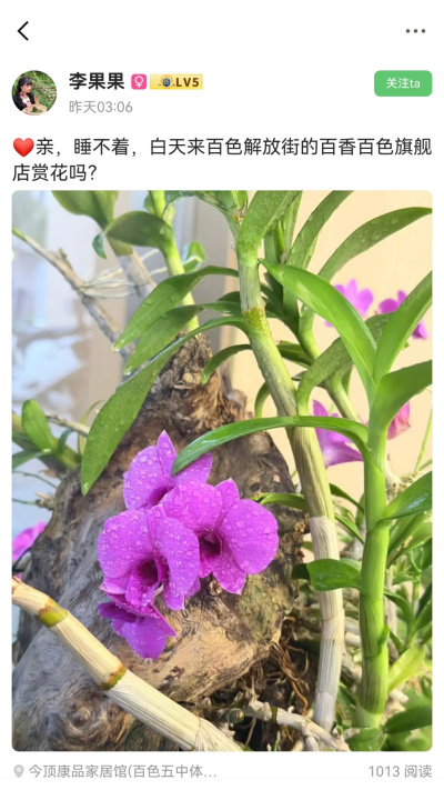 ��ɫ����
