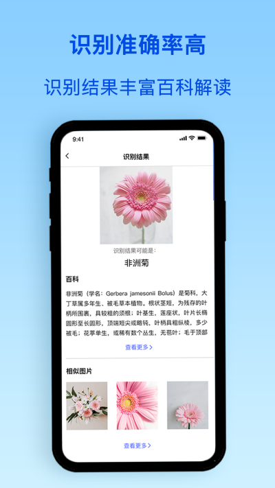 ��ֲ��ʶ��