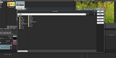 ʹVegasƵʱȾʲôʽã